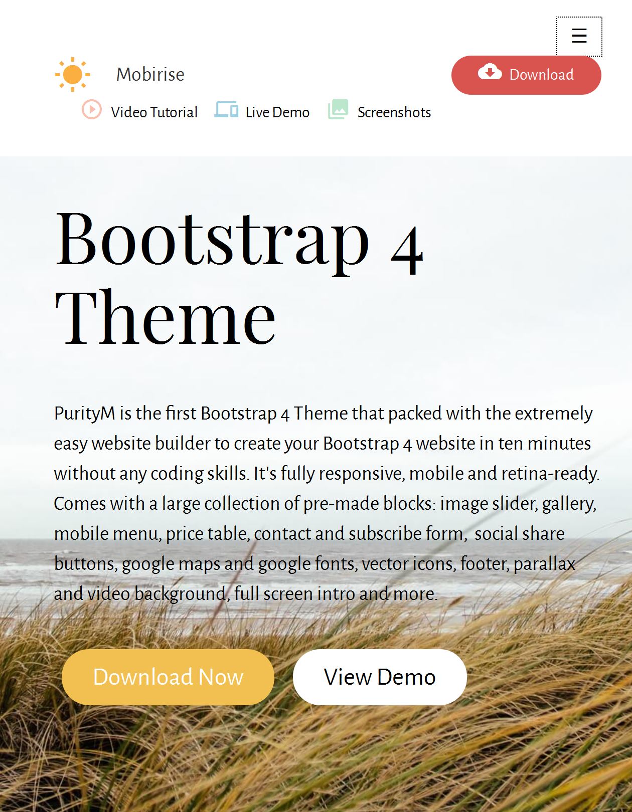 Bootstrap Template Blog