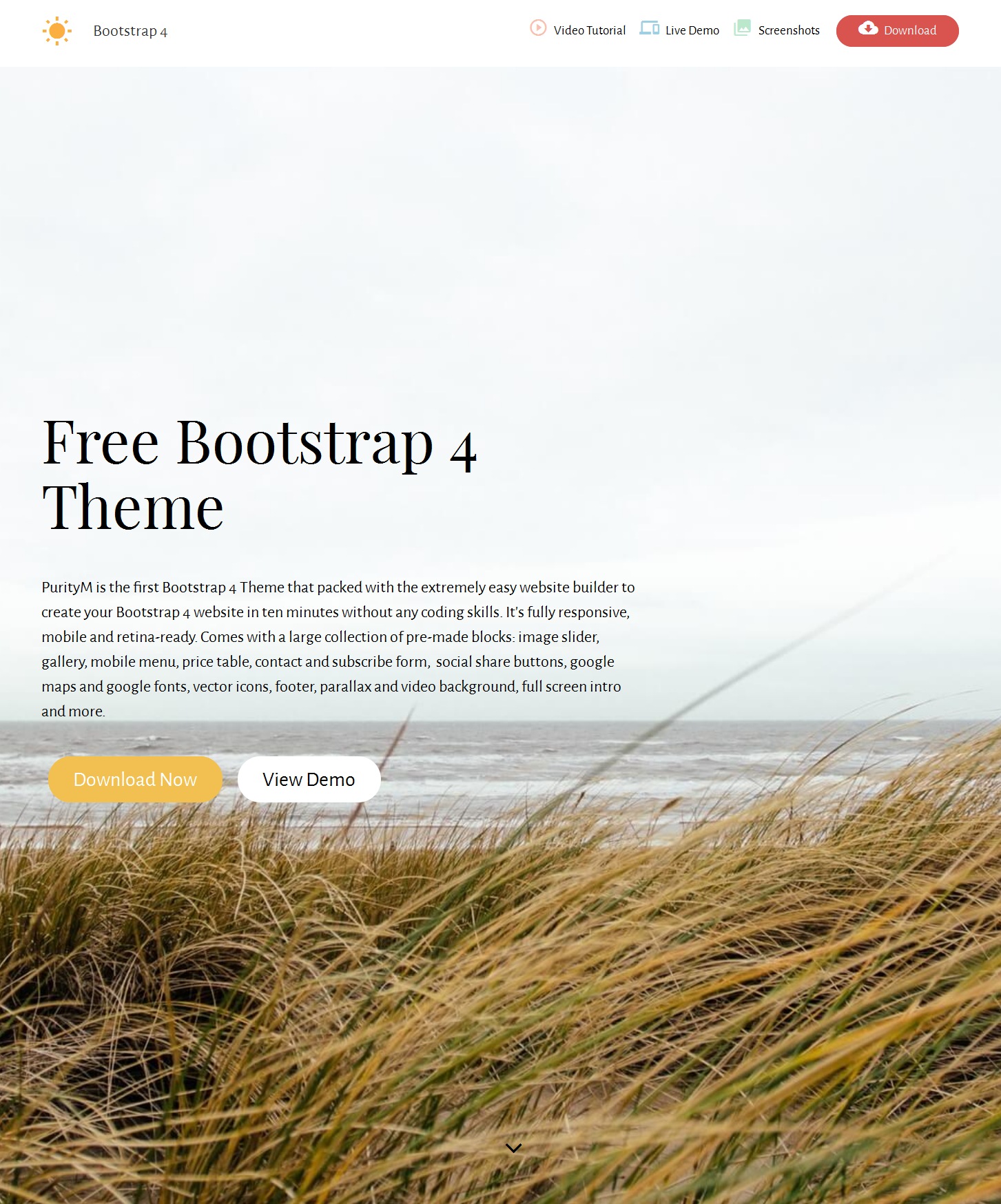 CSS3 Bootstrap Restaurant Theme