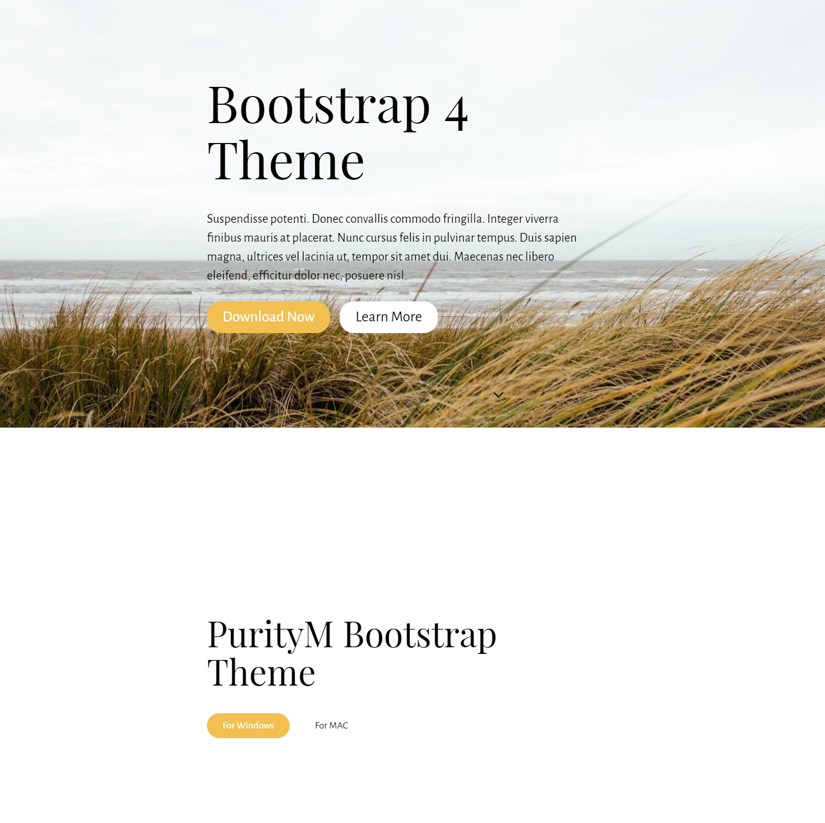 Free Bootstrap 4 Themes