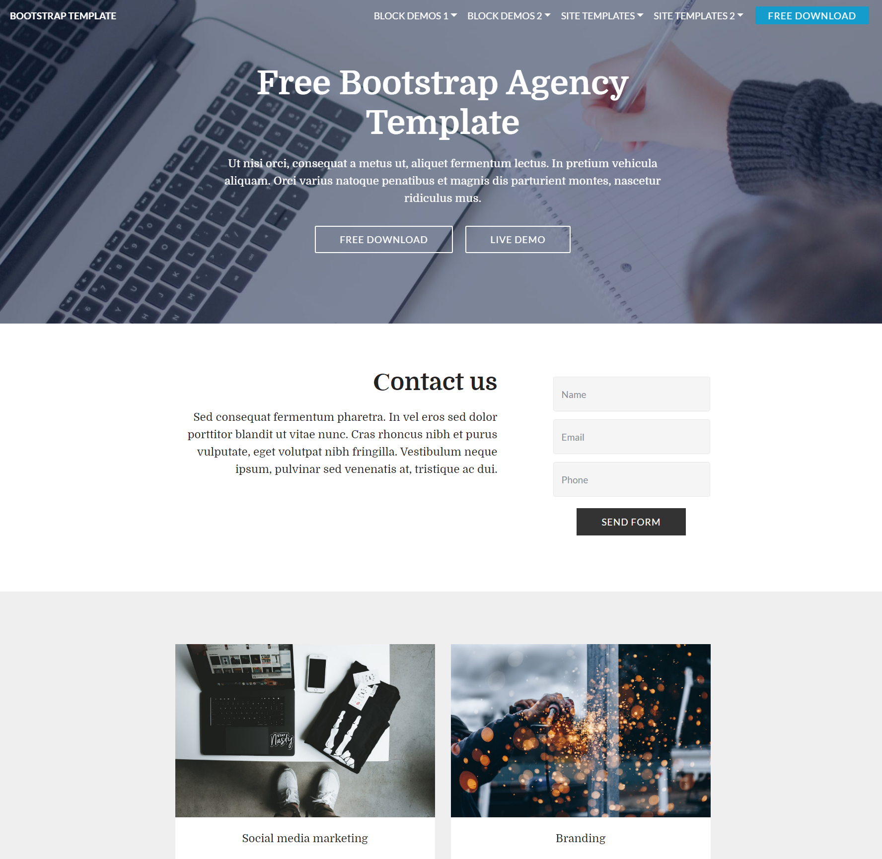 CSS3 Bootstrap Agency Themes